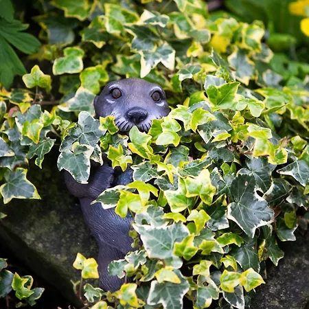 Apartment Romantic Retreat Near Abbey *