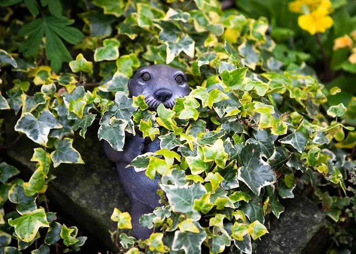 アパート Romantic Retreat Near Abbey *